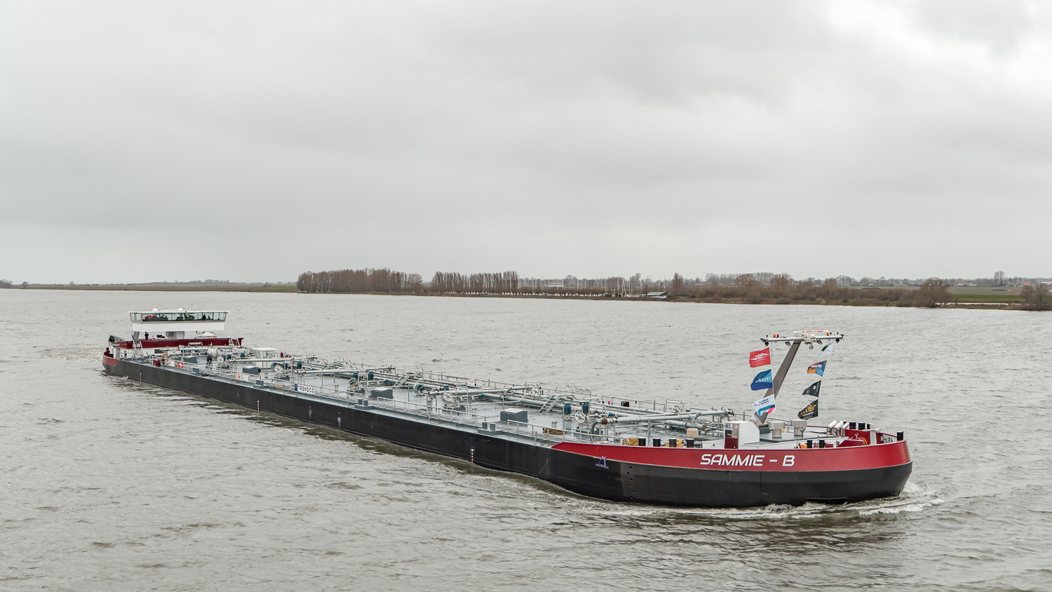 Ship Sammie - B back