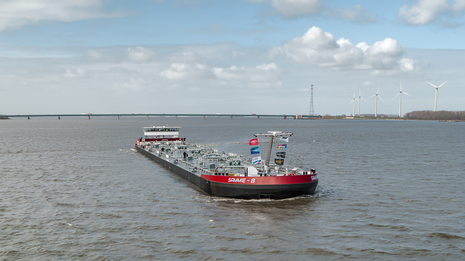 Ship Sammie - B back