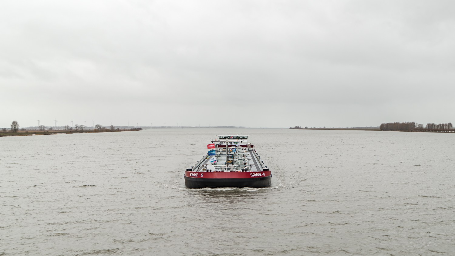 ShipSammie - B back